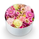 Box růžových květin zavřený